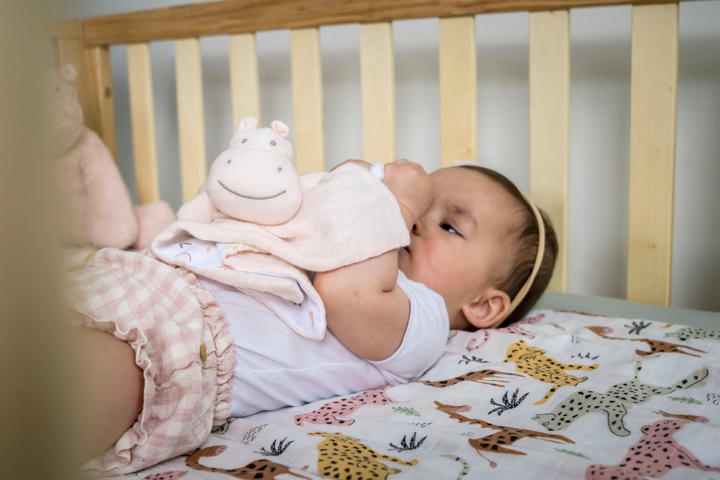 Hippo Comforter with Rubber Teether