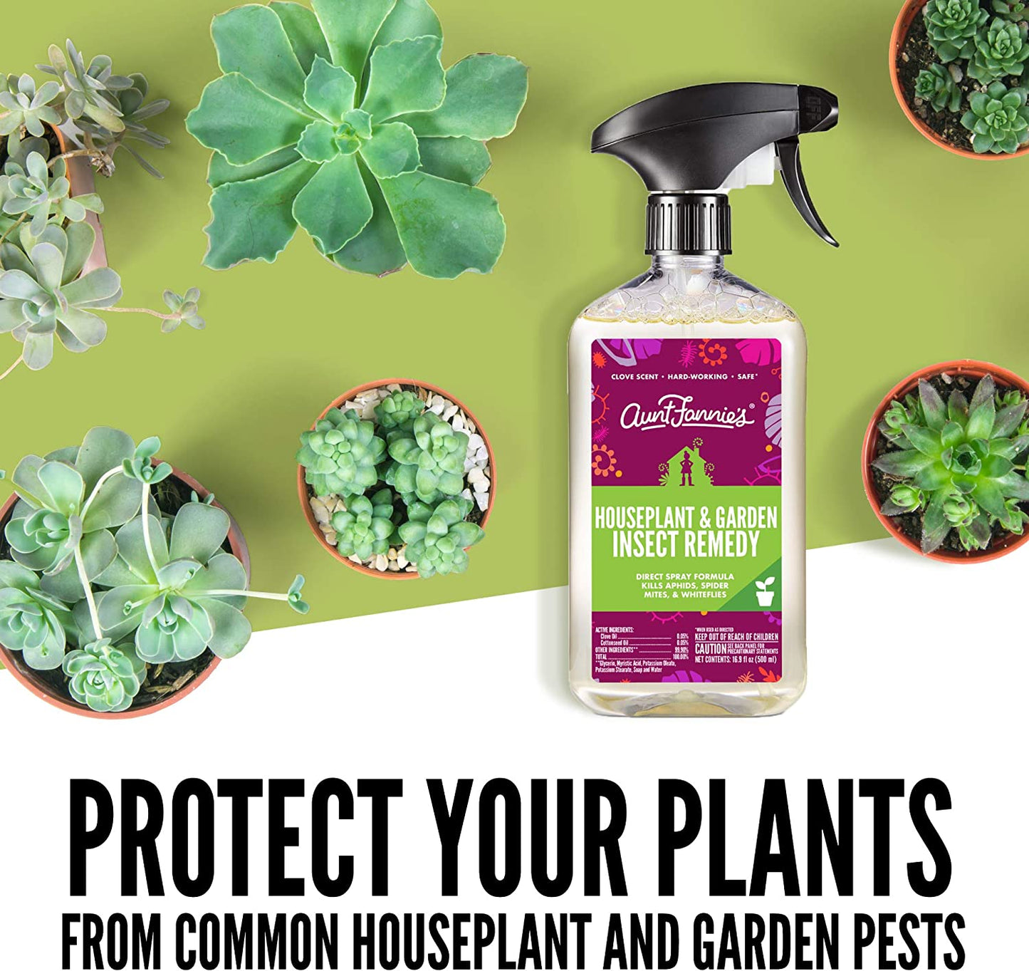 Houseplant & Garden Insect Remedy