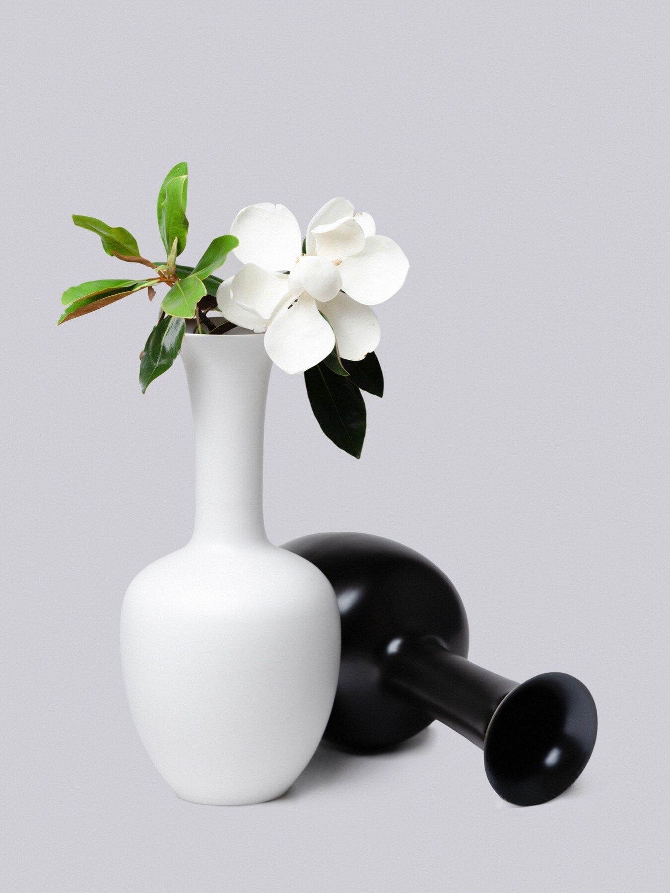 MORNING GLORY VASE