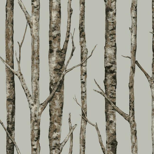 The Birches Unpasted Wallpaper