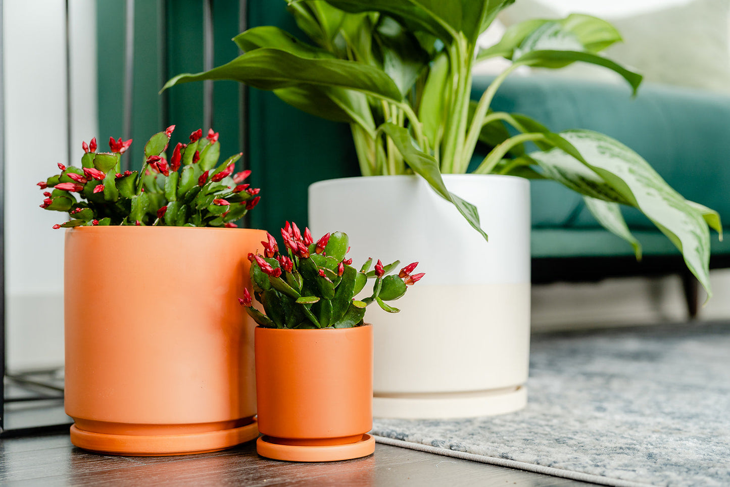 Natural Clay Terra-Cotta Cylinder Pots with Water Saucers