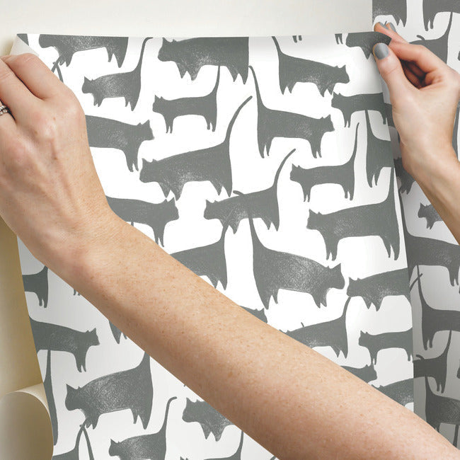 Cat Tails Premium Peel + Stick Wallpaper