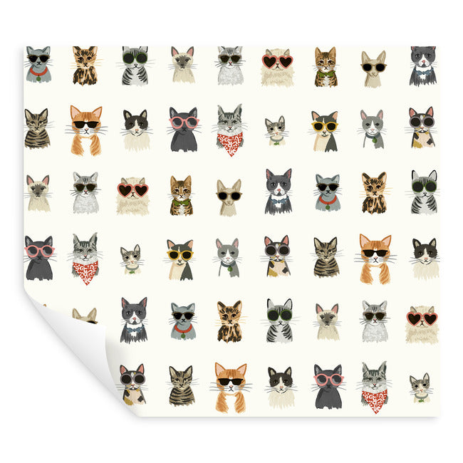 Cool Cats Premium Peel + Stick Wallpaper