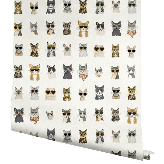 Cool Cats Premium Peel + Stick Wallpaper
