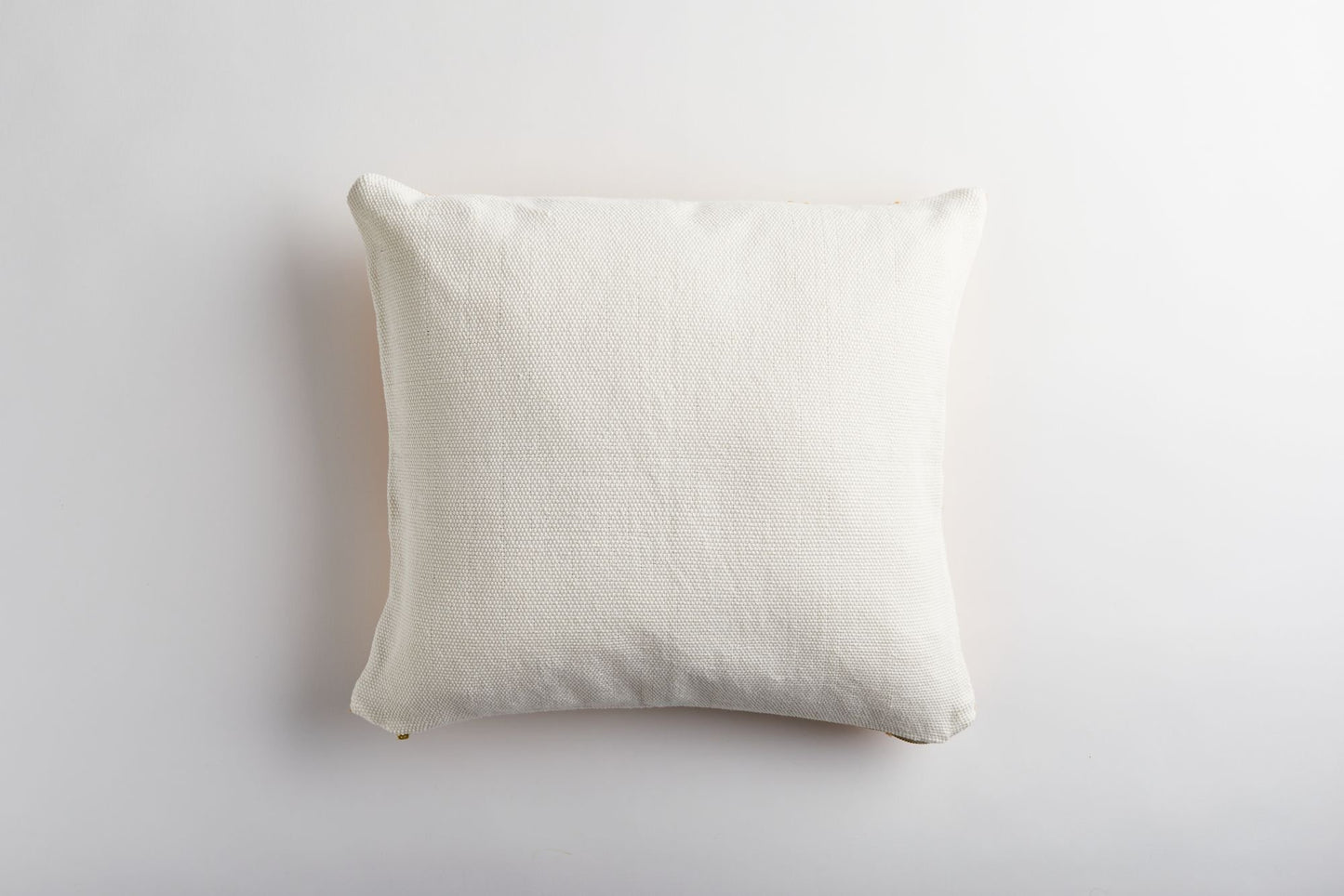 Zenu Pillow Cover (2 colors)