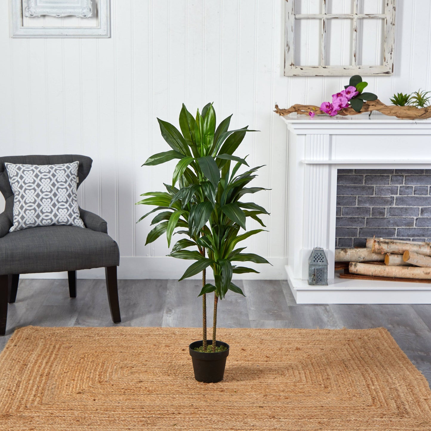 48" Dracaena Silk Plant (Real Touch)"