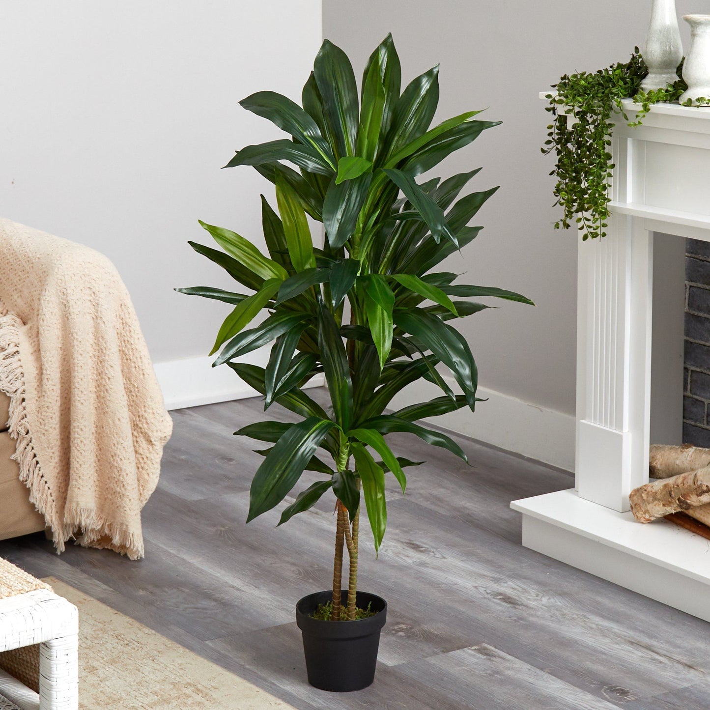 48" Dracaena Silk Plant (Real Touch)"