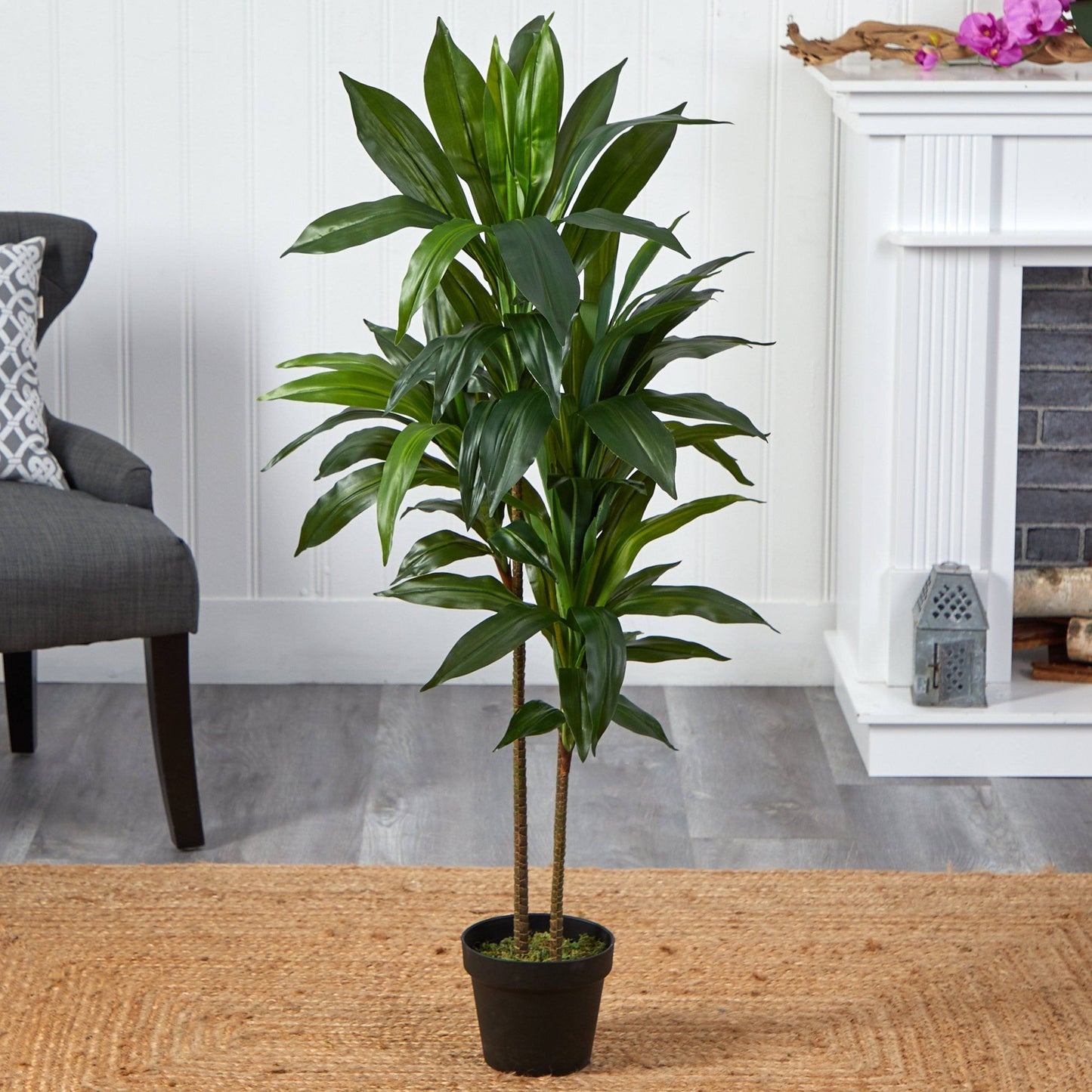 48" Dracaena Silk Plant (Real Touch)"