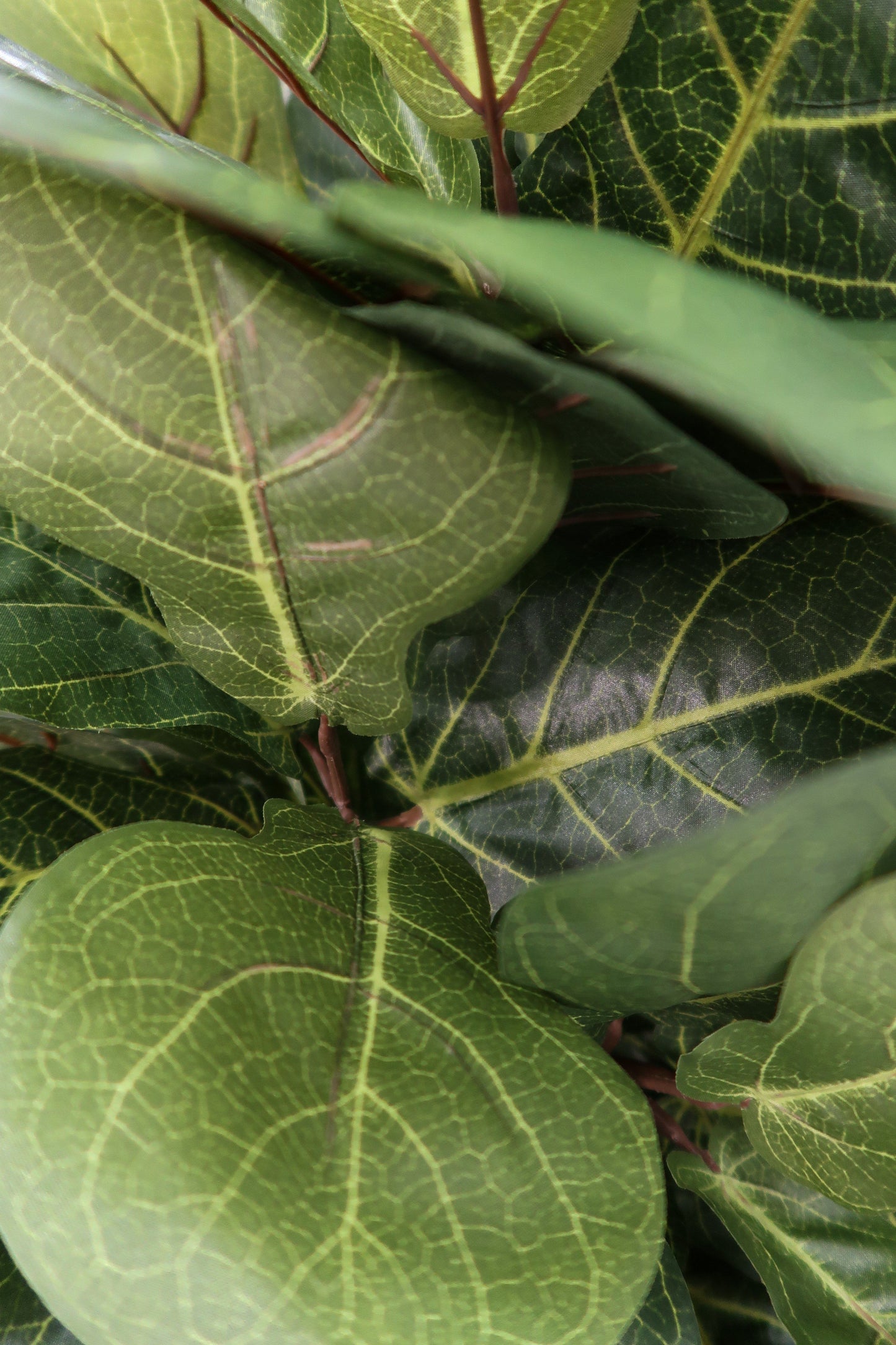 6’ Artificial Fiddle Leaf Fig Tree