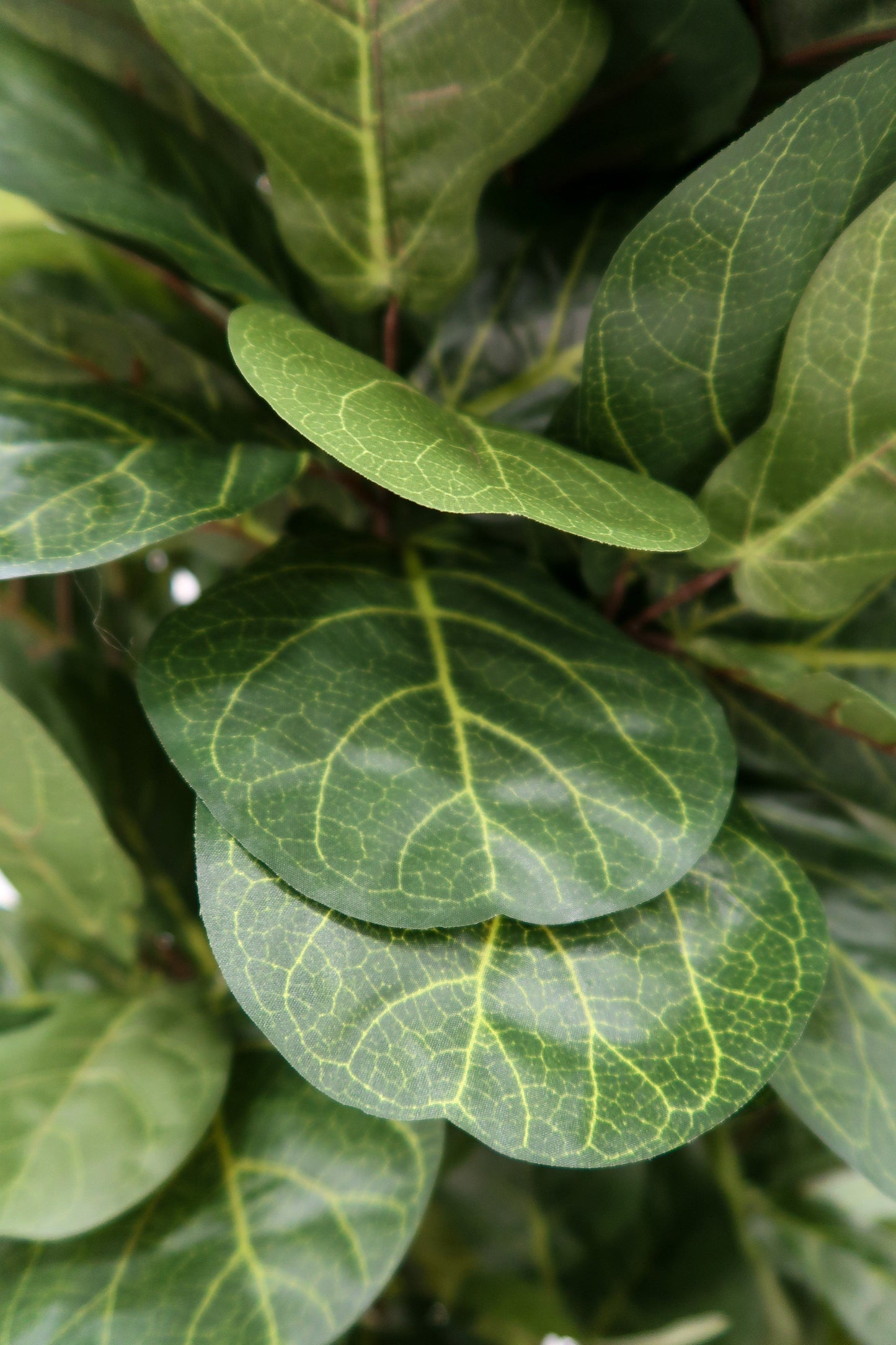 6’ Artificial Fiddle Leaf Fig Tree