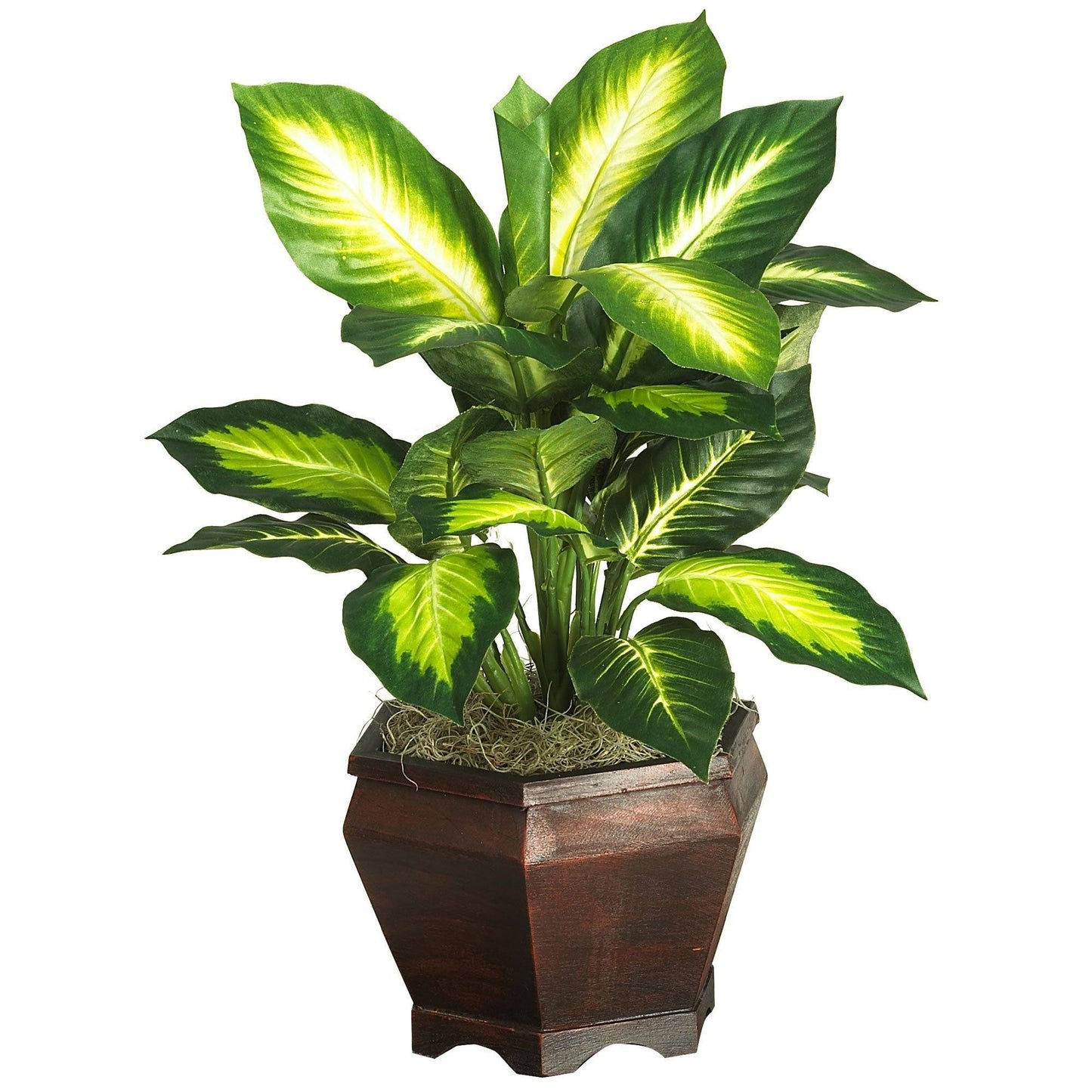 Golden Dieffenbachia w/Wood Vase Silk Plnat