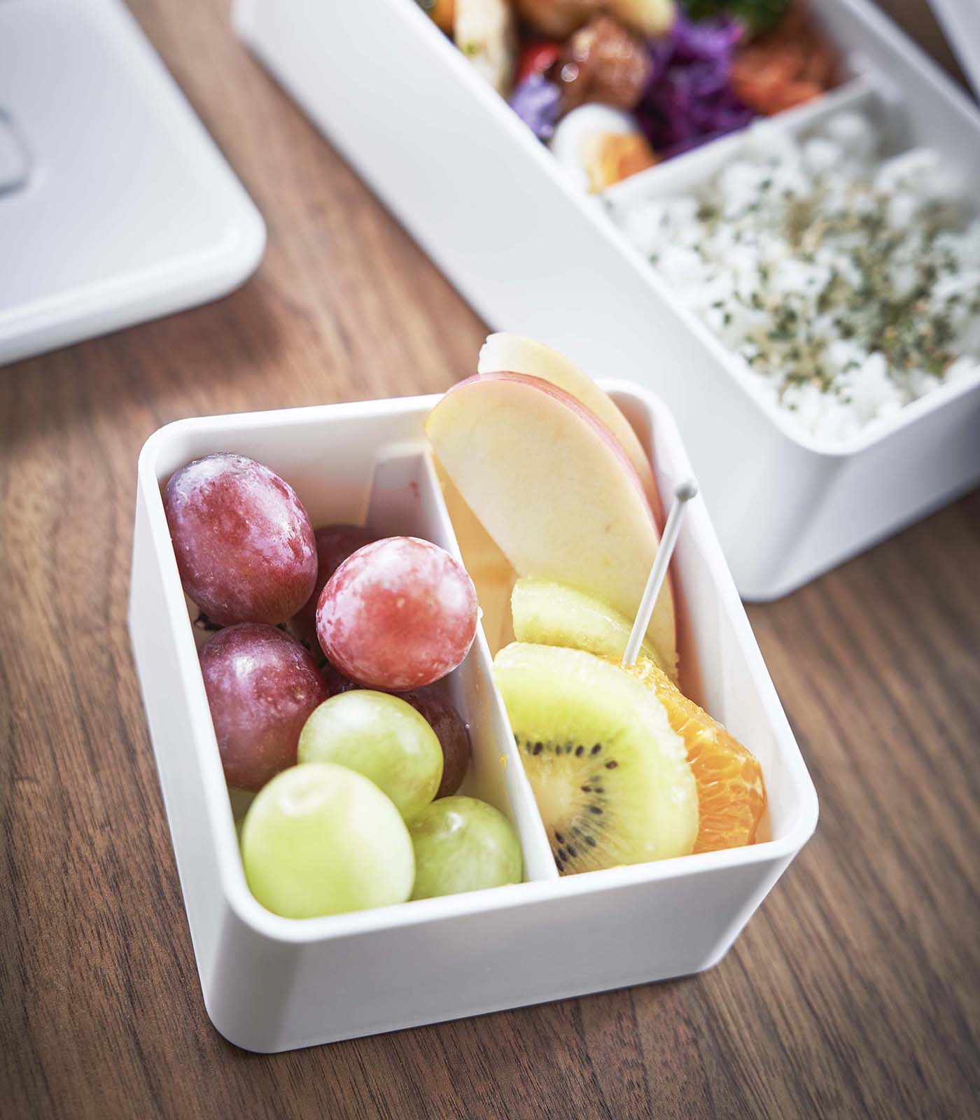 Vacuum-Sealing Bento Box